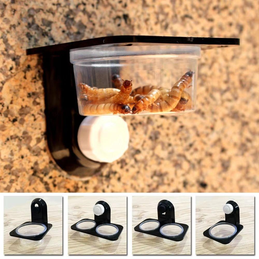 Dual Purpose Insect Feeding Dish Plastic Gecko Feeding Ledge Reptile Feeder Bowl for Snake