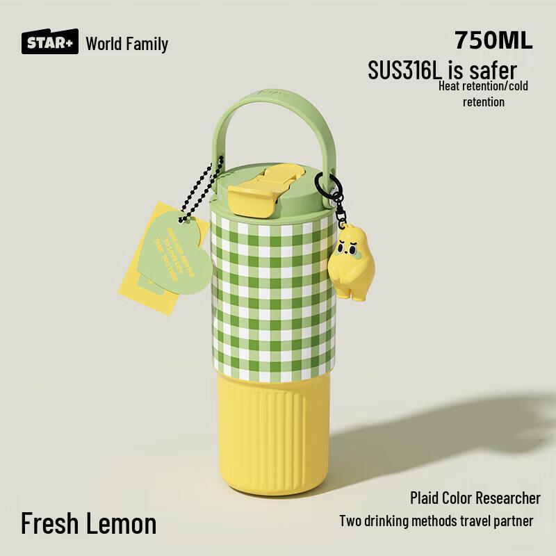 Portable Large Capacity Stainless Steel Thermos with Straw