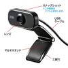 Sanwa Supply 2MP Full HD Webcam with Microphone and Skype Compatible Built-in (CMS-V41BK)