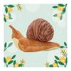 lilizzhoumax snail plush toy play house, birthday toy, simulated animal, stuffed pillow, Christmas gift, children's daily necessities, garden gift
