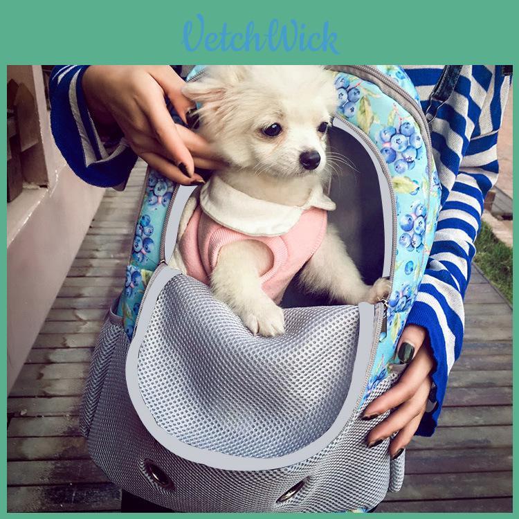 Transportín Premium Transpirable para Mascotas para Perros Pequeños, Gatos y Cachorros con Diseño Ajustable