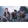 Horizon Forbidden West Complete Edition (North America) - PS5