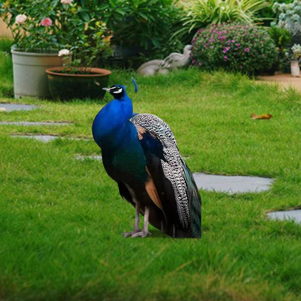 2D Peacock Plaque Flowerpot Stake Lawn Accessories Multifunctional Decorative Garden Decor