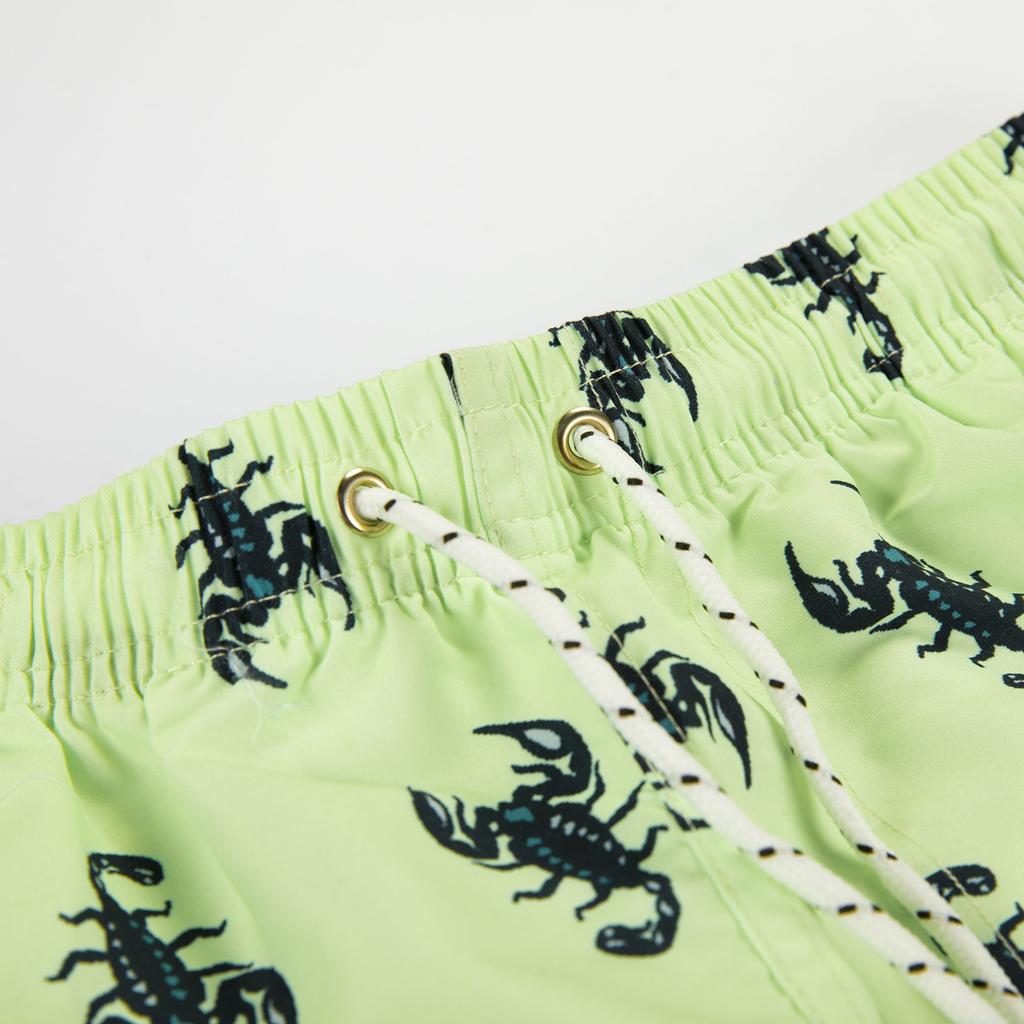 Mens Swim Trunks Quick Dry Swim Shorts With Mesh  Funny Swimwear Bathing Suit