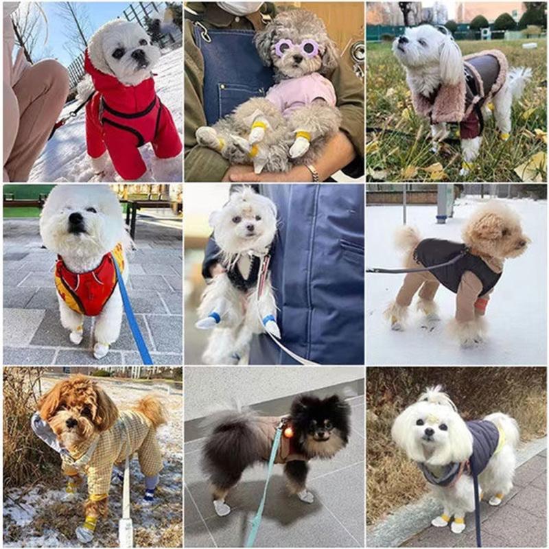 Einweg-Hundeschuhe für Hunde und Katzen, 100 Stück Wasserdichte Atmungsaktive Haustier-Schuhe Pfotenschutz, Einweg-Hundeschuh