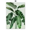 Green Plant Monstera Scallop Boho Abstract Flower Nordic Wall Art Canvas Painting Posters Prints Pictures for Living Room Decor No Frame