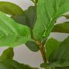 Artificial Ficus Plant 130 Cm With 78 Leaves And Decorative Artificial Plant Pot For Indoor And Outdoor Home Living Room Office Green