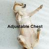 Eco-Friendly Thickened Transparent Dog Raincoat for Small and Medium Breeds