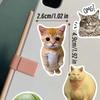 100/1000Pcs Funny Cute Cat Meme Animals Stickers Kawaii Decals Scrapbooking Notebook Luggage Laptop Skateboard Sticker Toy