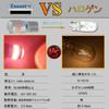 Eseastar T10 LED Bulb Red Explosive Light W5W 12V-24V 175