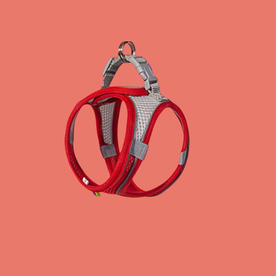 Breathable Reflective Pet Harness Vest with Leash for Cats & Dogs