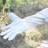 1 Pair Anti-sting Beekeeping Gloves Safe Beehive Tools Durable Anti-bee Gloves  Beekeeping Tools