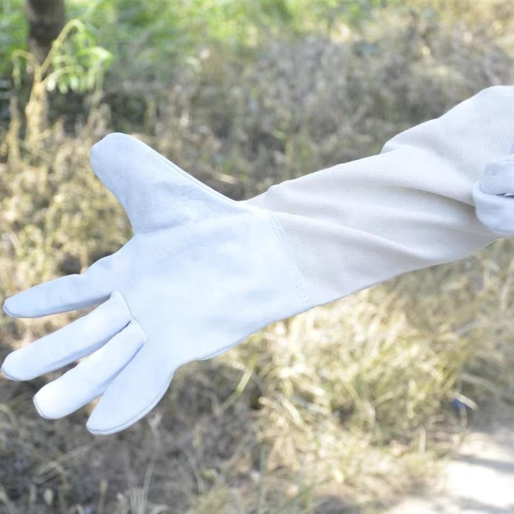 1 Pair Anti-sting Beekeeping Gloves Safe Beehive Tools Durable Anti-bee Gloves  Beekeeping Tools