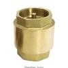 Dependable Brass Spring Check Valves Heavy Duty Valves Simple Installations 3XUF