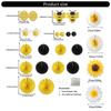 14Pieces Biodegradable Sunflower Bees Paper Fan Decorations Functional Party Backdrops for Indoor Outdoors Use