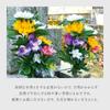 Aimedia Flower Offerings for Graves and Set of Artificial Buddhist Grave Shinto Grave Celebrations and Height 45cm Altars, 2, Flowers, Flowers,