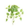 Green Simulated Green Vines Desktop Ornament Faux Grass Lifelike Artificial Plant  Wedding Party