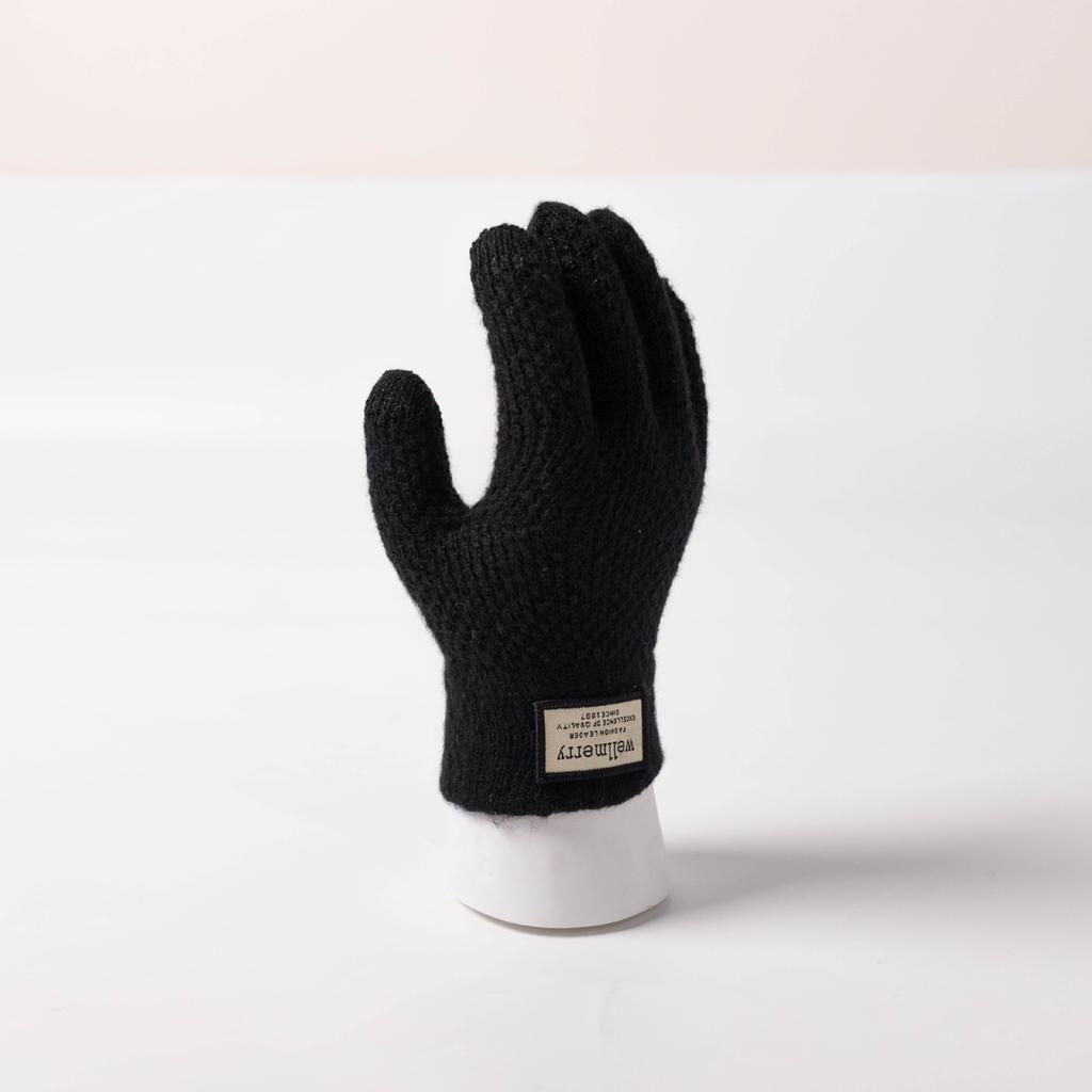 New Autumn and Winter Thickened Gloves Korean Style Cold-proof Cycling Touch Screen Warm Wool Knitted Gloves