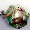 Happy Labrador pattern, automatic folding umbrella, portable and foldable design, 8 ribs, a Christmas or birthday gift.