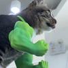 2Pcs Cat Muscle Arm 3D Printed Funny Cat Neck Arm with Muscle Superhero Cosplay Costume Funny Pet Photography Props Birthday Party Supplies