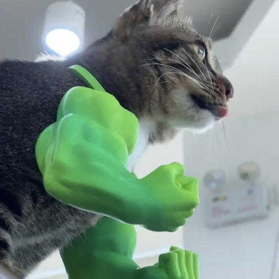 2Pcs Cat Muscle Arm 3D Printed Funny Cat Neck Arm with Muscle Superhero Cosplay Costume Funny Pet Photography Props Birthday Party Supplies