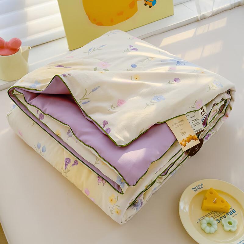 Ailan Huijia Cartoon Washed Cotton Summer Quilt