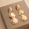 Exaggerated Metal Wind Stud Earrings Geometric Oval Three-Dimensional Prismatic Earrings Long Fringed Personalized Niche Earrings
