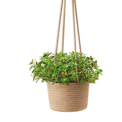 Vasos e caixas para jardim – Vasos de flores suspensos