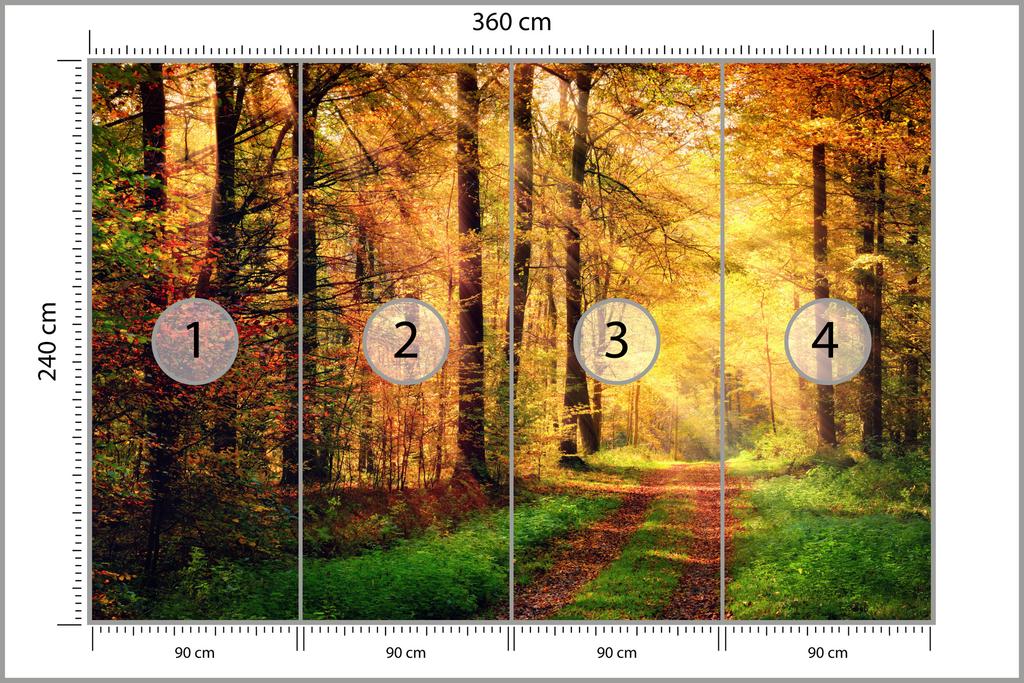 Photomural Forest Autumn Colours Non-Woven 360x240