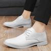 Mode Herrskor Klänningsskor Business Casual Sko Spetsig Tå Elegant Lädersko Lyxiga Bröllopsskor för Män Snörskor Oxford Sko Mockasiner
