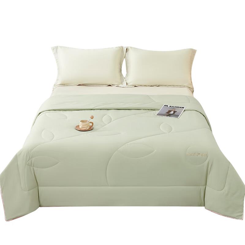 Paul Frank Class A Washable Quilt