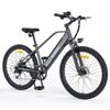 HillMiles MileTrail 1 E-Bike: 120km PAS Range, Hydraulic Brakes, 26" Tires, 250W Motor - City & Mountain Commuting
