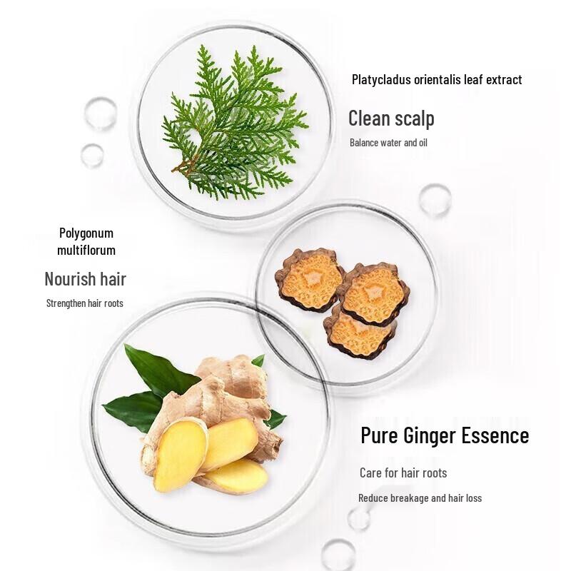 Zhuolanya Ginger Anti-Hair Loss & Oil Control Shampoo Set