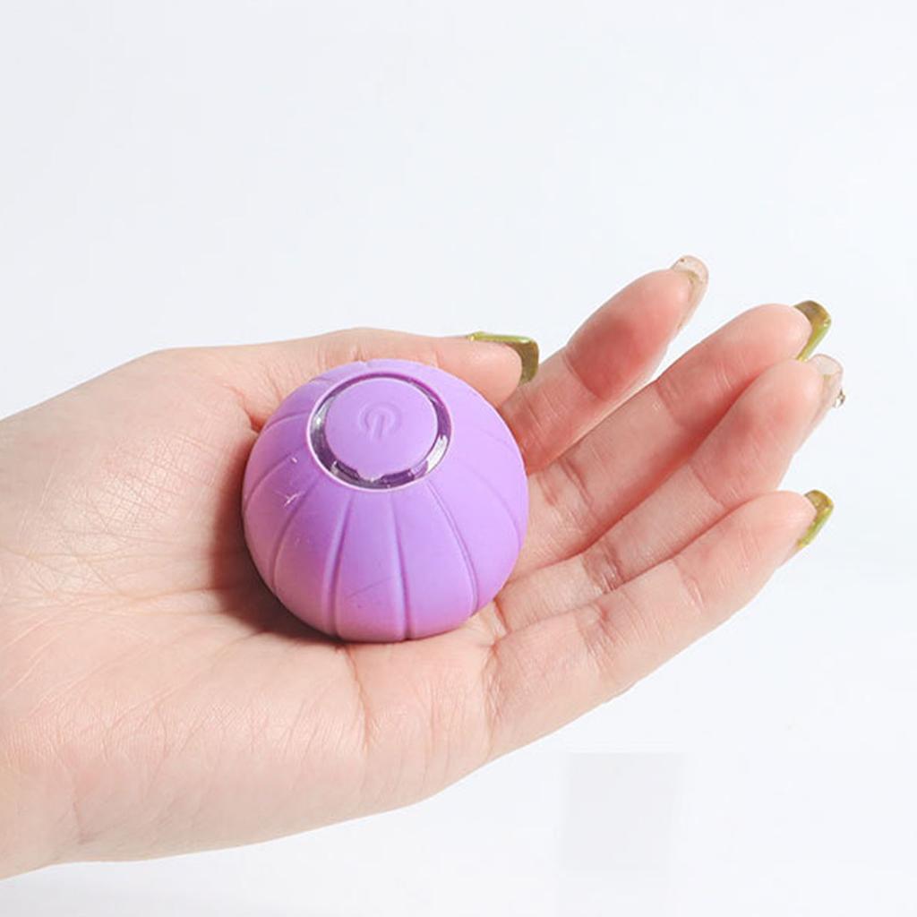 Pet Ball Toy Silicone Rolling Ball Sound Light Rechargeable Ball Obstacle Avoidance for Dog Cat