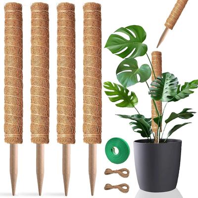 Mosstok, 2/4 Pak Plantensteunen voor Binnenplanten, Steunstokken voor Monstera Planten, Plantenstokken voor Potplanten, Pothos, Klimplanten