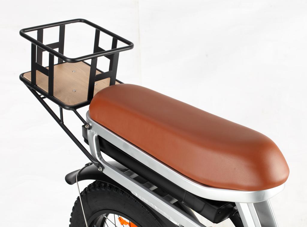 BAOLUJIE DP2033 All-Terrain Erwachsenen Elektrofahrrad 20*4.0 Zoll Fat Tires 1000W Dualmotor 48V 12Ah Dualbatterie E-Mountainbike Mit Scheibenbremse