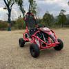 Automobile și motociclete – Pentru ATV-uri