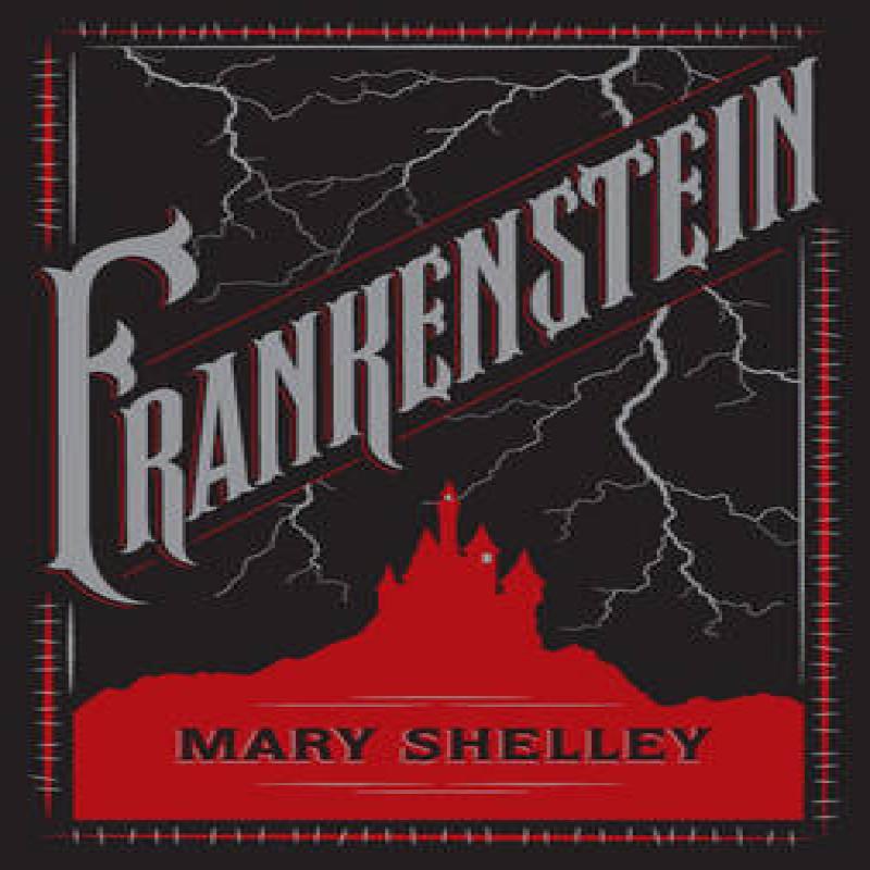 Frankenstein Paperback Book 9781435159624
