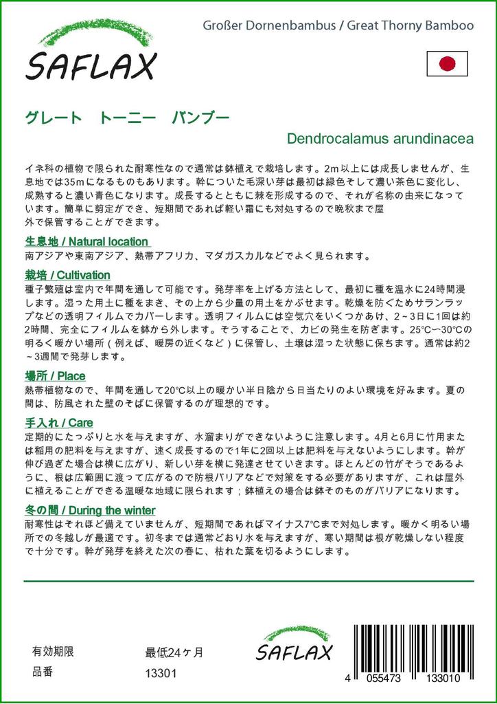 SAFLAX Grande Bambu Espinhoso - 50 sementes - Dendrocalamus arundinacea