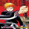 Bleach 3in1 Edition Bd. 1 von Tite Kubo Taschenbuch 9781421539928