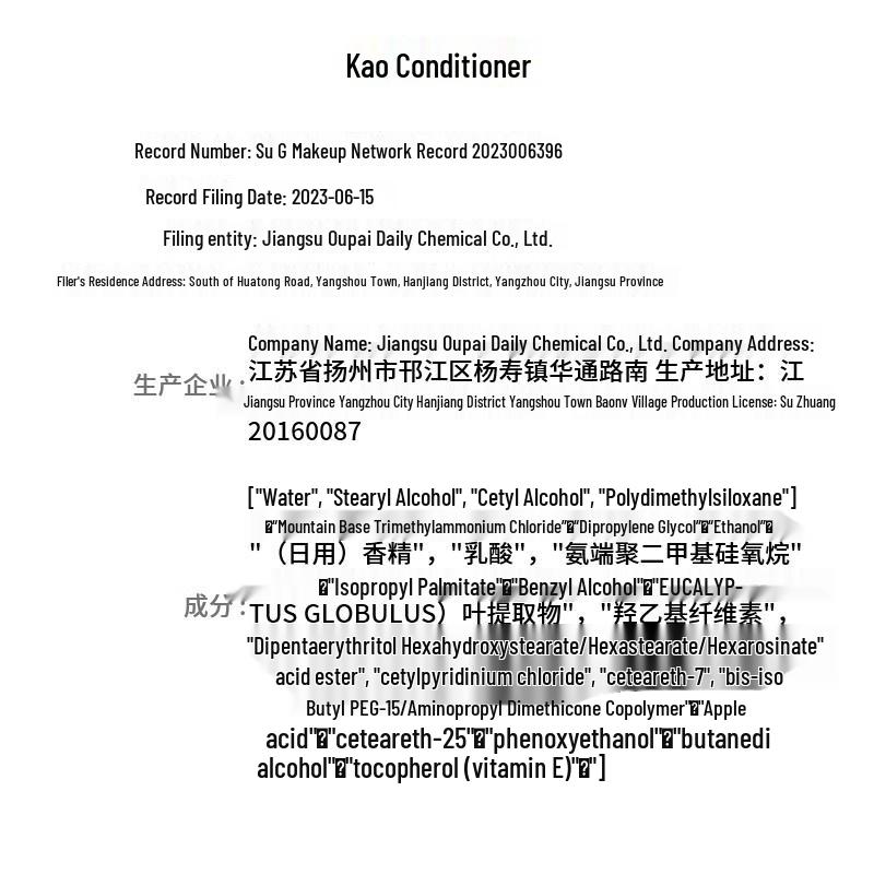 Kao Moisturizing & Smoothing Conditioner 285g