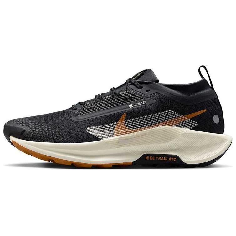Nike Pegasus Trail 5 Gore-Tex `Off