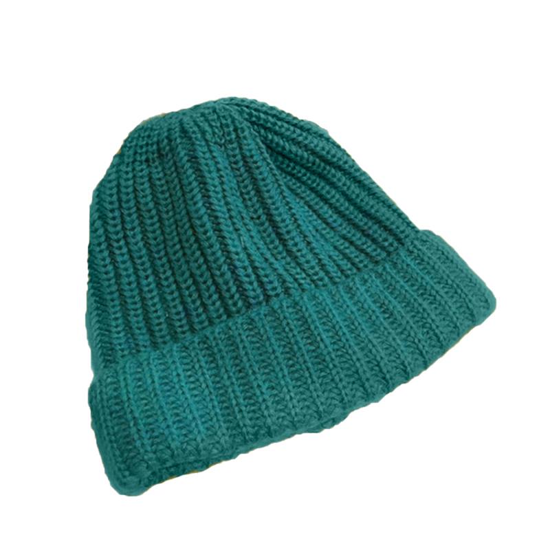 Woolen Hat Beanie Hat Knitted Hats Cap 