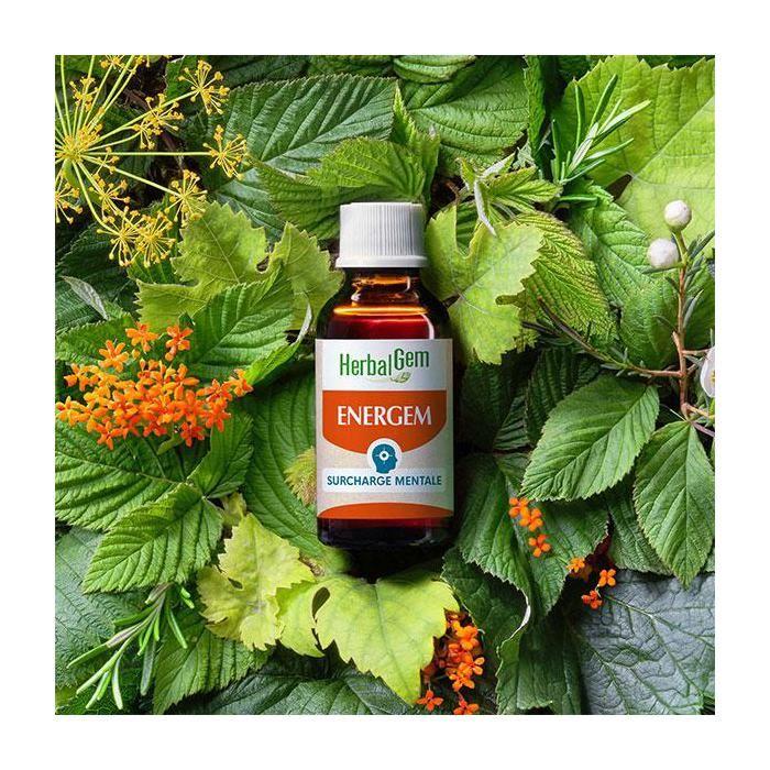 Herbalgem Energem Surcharge Mentale Bio 30 Ml