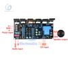 300W Mono Power Amplifier Board DC 20V-90V High Power Audio Tube Audio Amplifier Board 1943+5200 with Speaker Protect