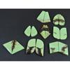 148Cts. Natural Lemon Chrysoprase Fancy Cabachon Loose Gemstone 08 Pcs Lot C-2590
