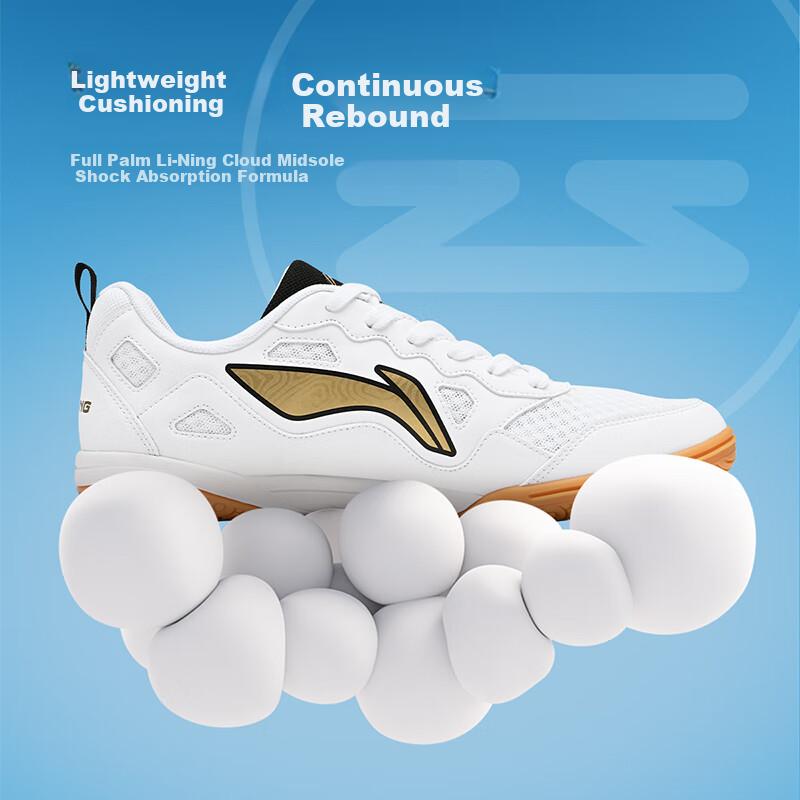 Li-Ning Table Tennis Shoes, Sports Shoes,Team Table Tennis Specialized Shoes