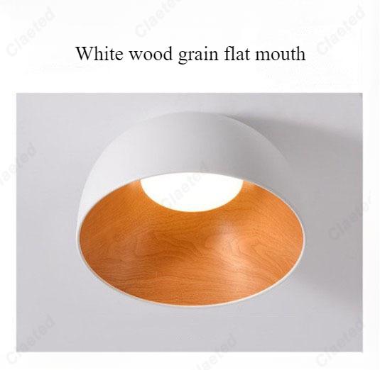 Creative and Simple New LED European Eggshell Ceiling Lamp Home Living Room Corridor Bedroom Dining Room Decorative Lighting