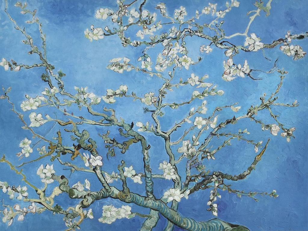 Sunny Town Gallery Paintings Framed Art Van Gogh Almond F6 Framed ART FRAME String and 52 X 42 Cm "Blooming Branches" [with Hook]