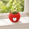 Decorațiuni pentru casă – Ghivece de flori decorative